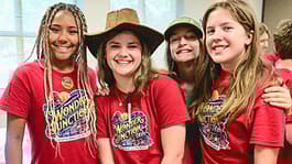 Why Do VBS?