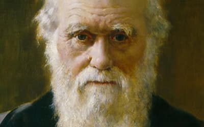 Response to “Still No Replacement of Darwin: A Reply to Nathaniel Jeanson’s Response to My Review of Replacing Darwin—The New Origin of Species”