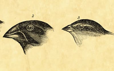 Responding to Lightner’s Comments on Natural Selection: Points of Agreement and Disagreement