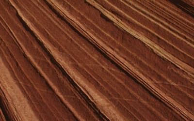 Lithostratigraphic Correlation of the Coconino Sandstone and a Global Survey of Permian “Eolian” Sandstones: Implications for Flood Geology