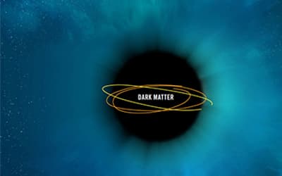 The Role of the Burbidges in Opposing the Acceptance of Dark Matter: A Cautionary Tale