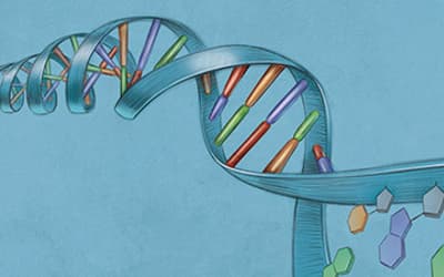 Beyond the DNA-Protein Paradox: A “Clutch” of Other Chicken-Egg Paradoxes in Cell and Molecular Biology
