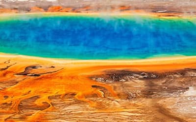 Louis Pasteur’s Views on Creation, Evolution, and the Genesis of Germs