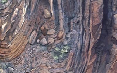 The Petrology of the Tapeats Sandstone, Tonto Group, Grand Canyon, Arizona